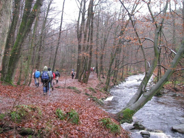 Transfagnarde2004.JPG