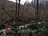 Transfagnarde2011.JPG