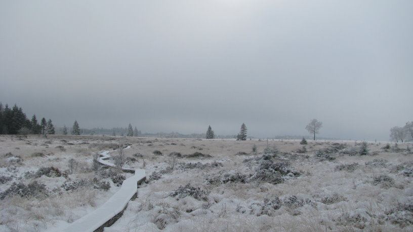 fagnes025.jpg