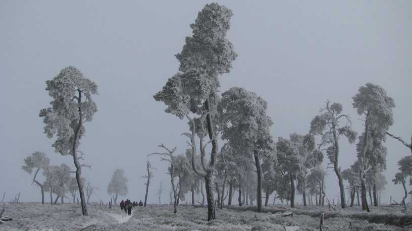 fagnes057.jpg