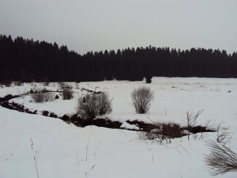 elsenborn347.jpg