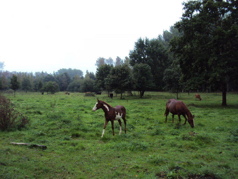 leuven03746.jpg