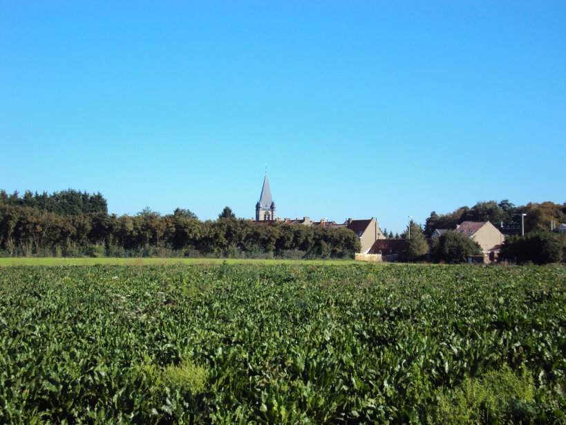 tournai04222.jpg