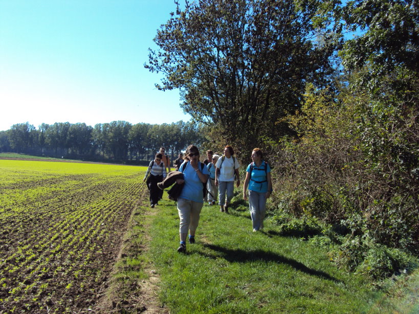 tournai04251.jpg