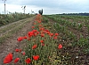 Walcourt à Philippeville