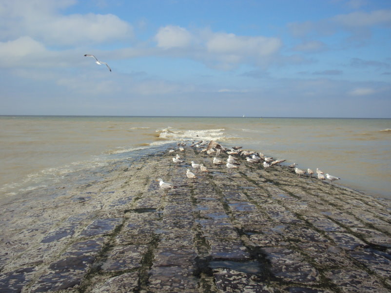 blankenberge07543.jpg