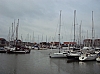 blankenberge07501.jpg