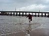 blankenberge07505.jpg