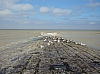 blankenberge07543.jpg