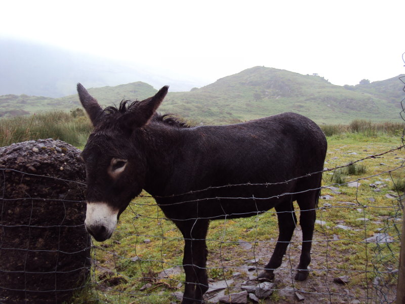 irlande8023.jpg