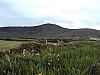 irlande7906.jpg