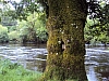 irlande8109.jpg