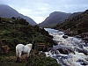 irlande8146.jpg