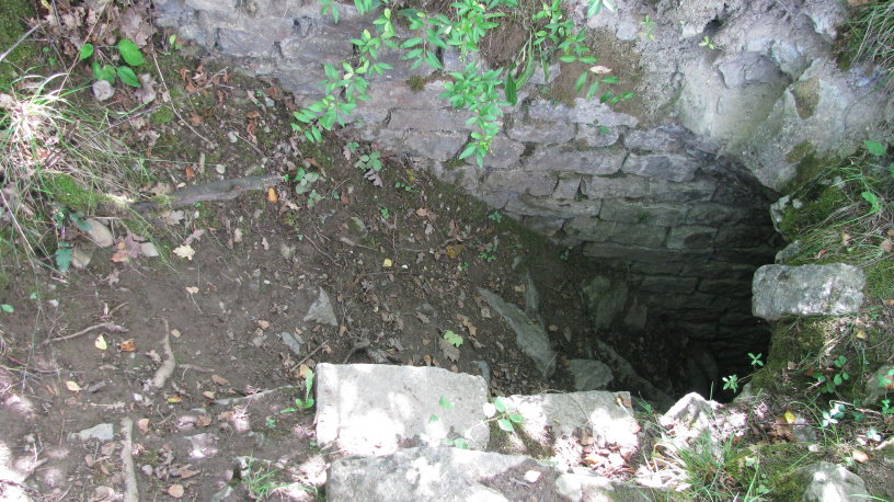haurs5530.jpg