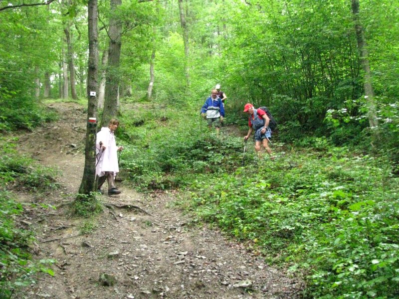 hastiere573.jpg