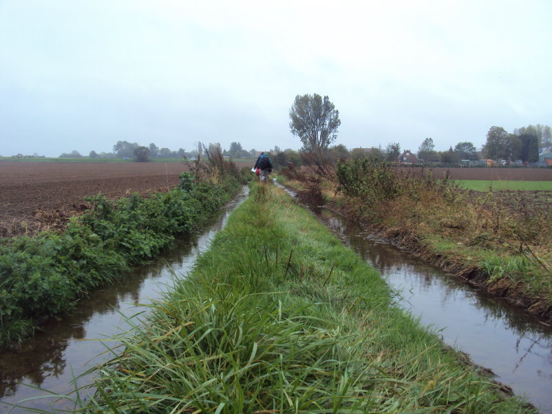 binche09071.jpg