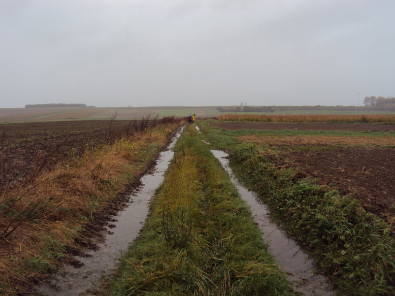 binche09072.jpg