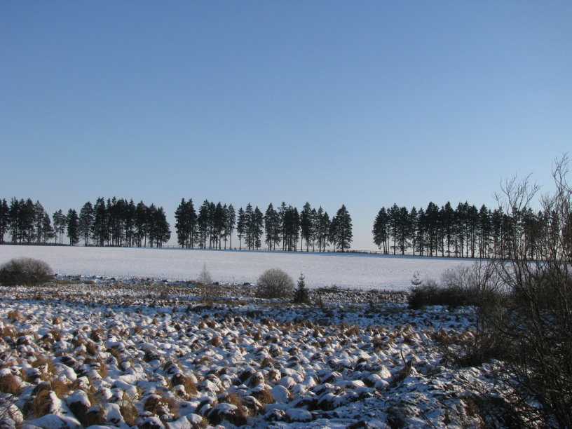 fagnes1175.jpg