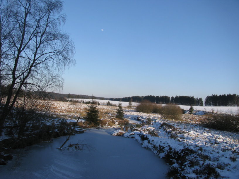 fagnes1177.jpg