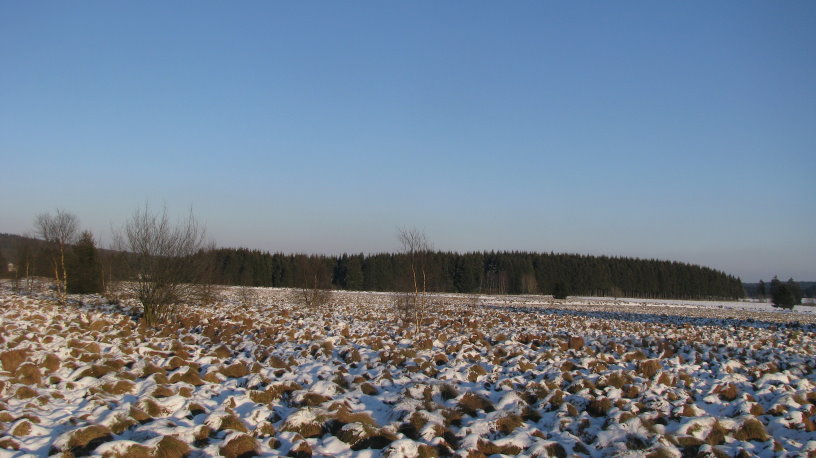 fagnes1186.jpg