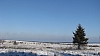 fagnes1104.jpg