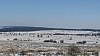 fagnes1110.jpg