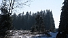 fagnes1113.jpg