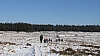 fagnes1150.jpg