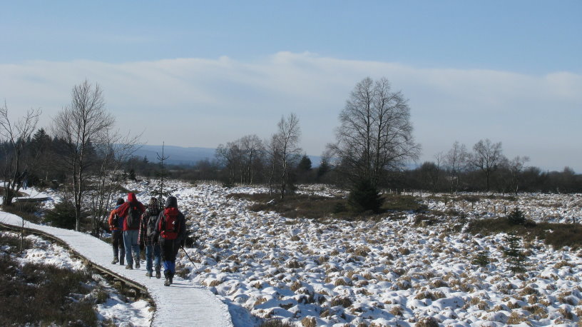 fagnes1223.jpg