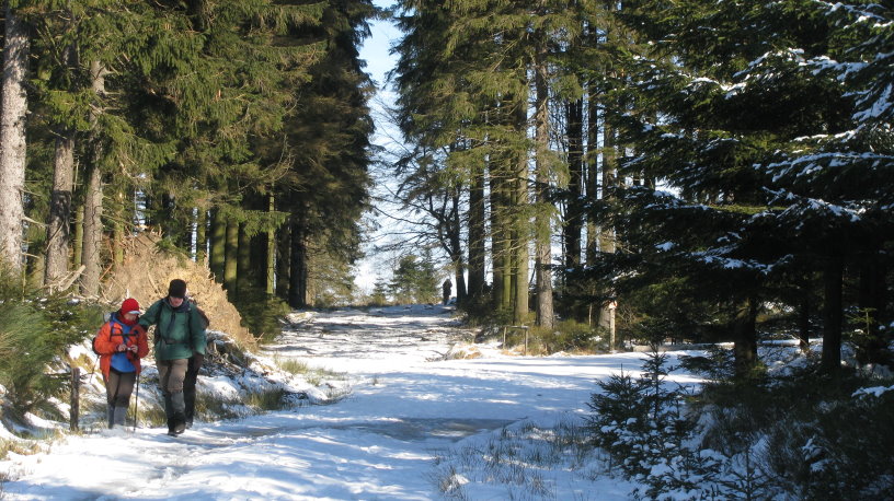 fagnes1234.jpg