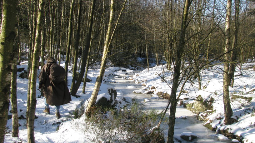 fagnes1235.jpg