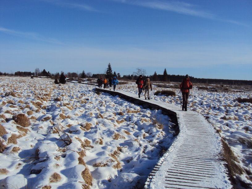 fagnes188.jpg