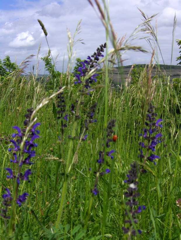 chateauthierry2058.jpg