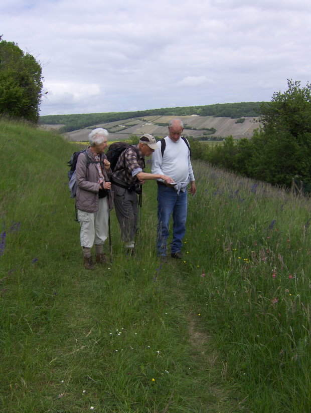 chateauthierry2068.jpg