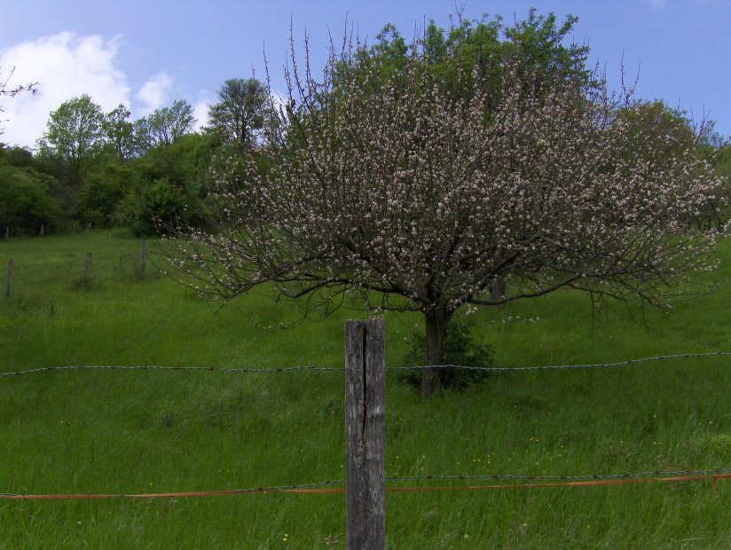 chateauthierry2080.jpg
