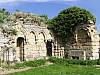 fere2147.jpg