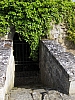 fere2151.jpg