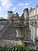 fere2179.jpg