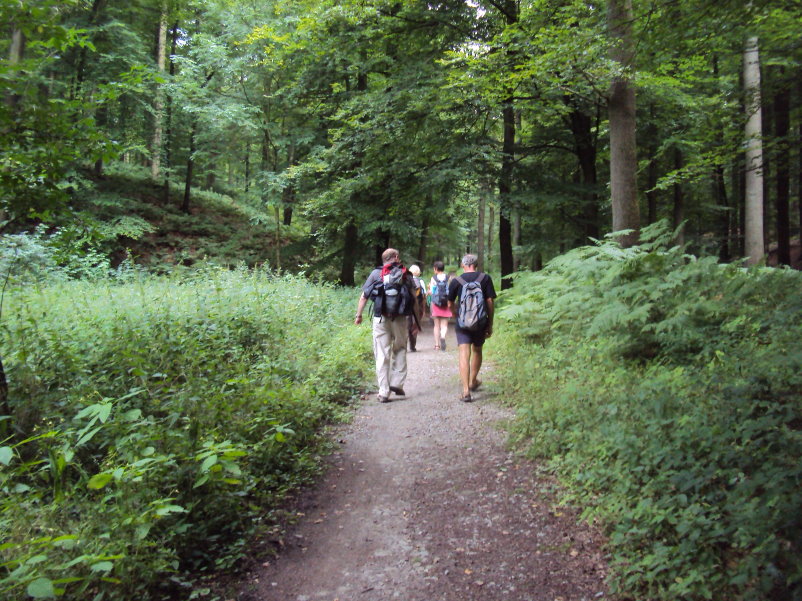 foretsoignes02431.jpg