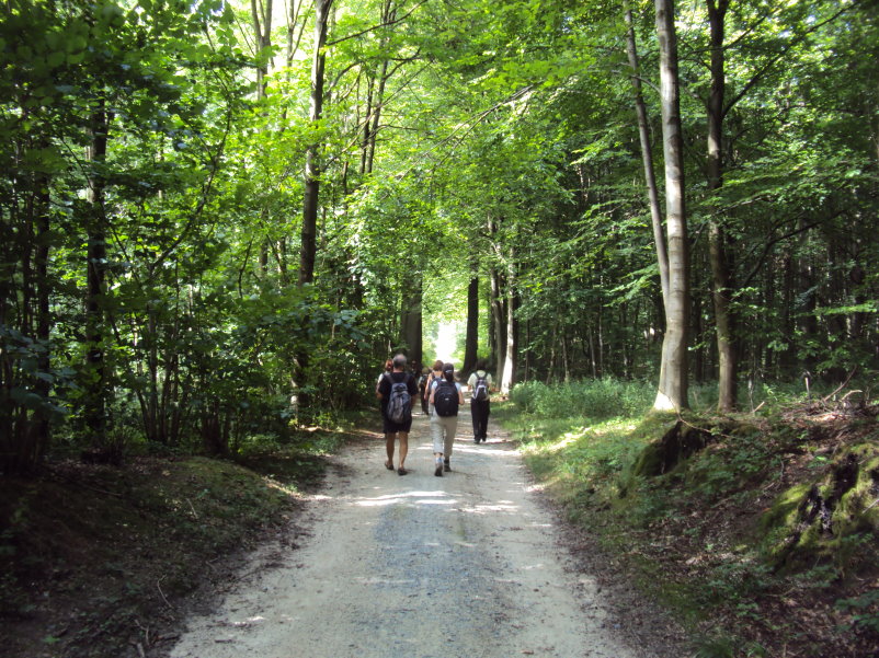 foretsoignes02436.jpg