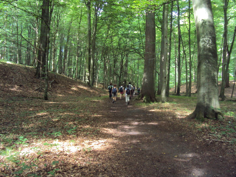 foretsoignes02437.jpg