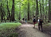 foretsoignes02442.jpg