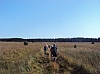 Les fagnes en été