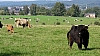 Eupen à Welkenraedt