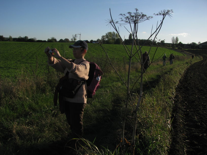 lalouviere0902.jpg