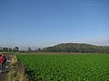 lalouviere0830.jpg