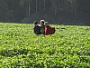 La Louvière - Bray - Binche