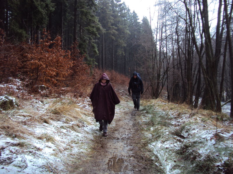 fagnes04121.jpg