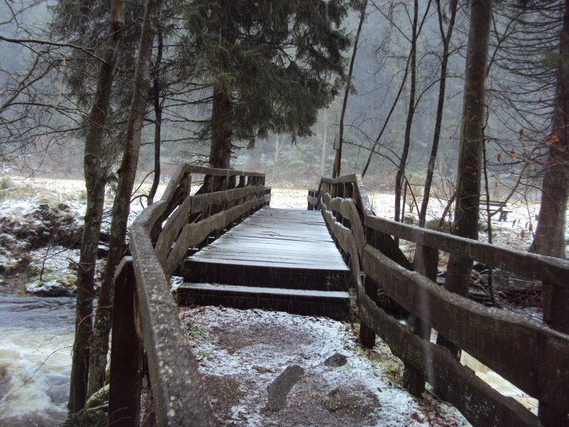 fagnes04126.jpg
