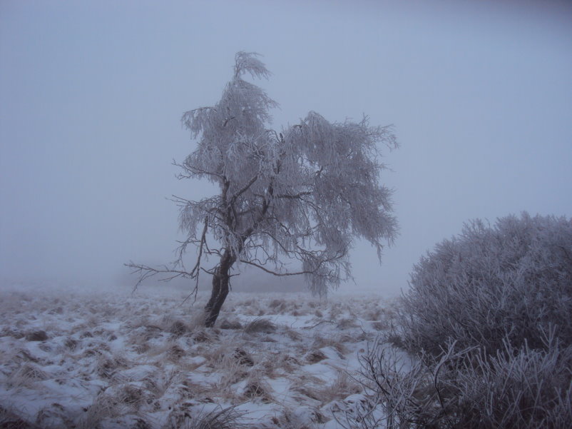 fagnes04177.jpg
